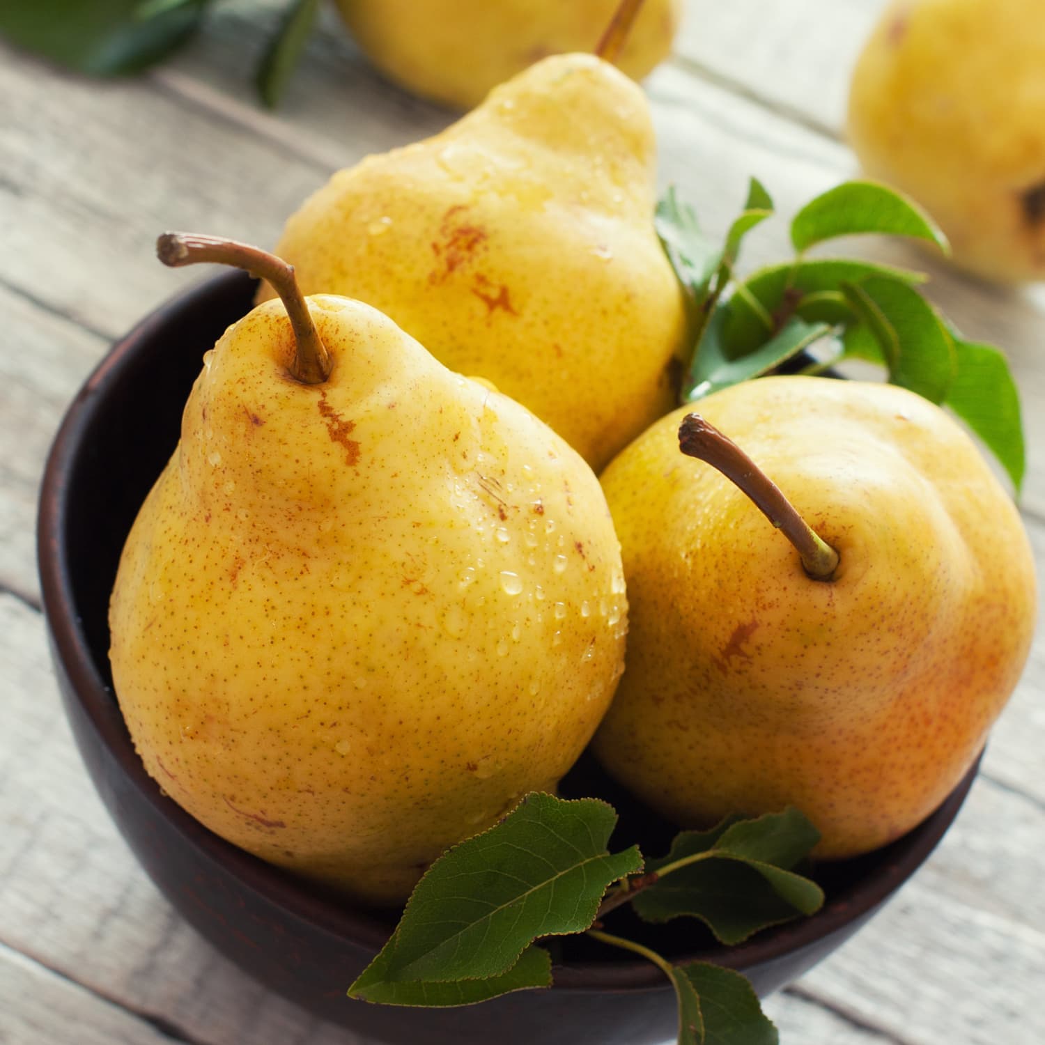 Detail Pear Image Nomer 30