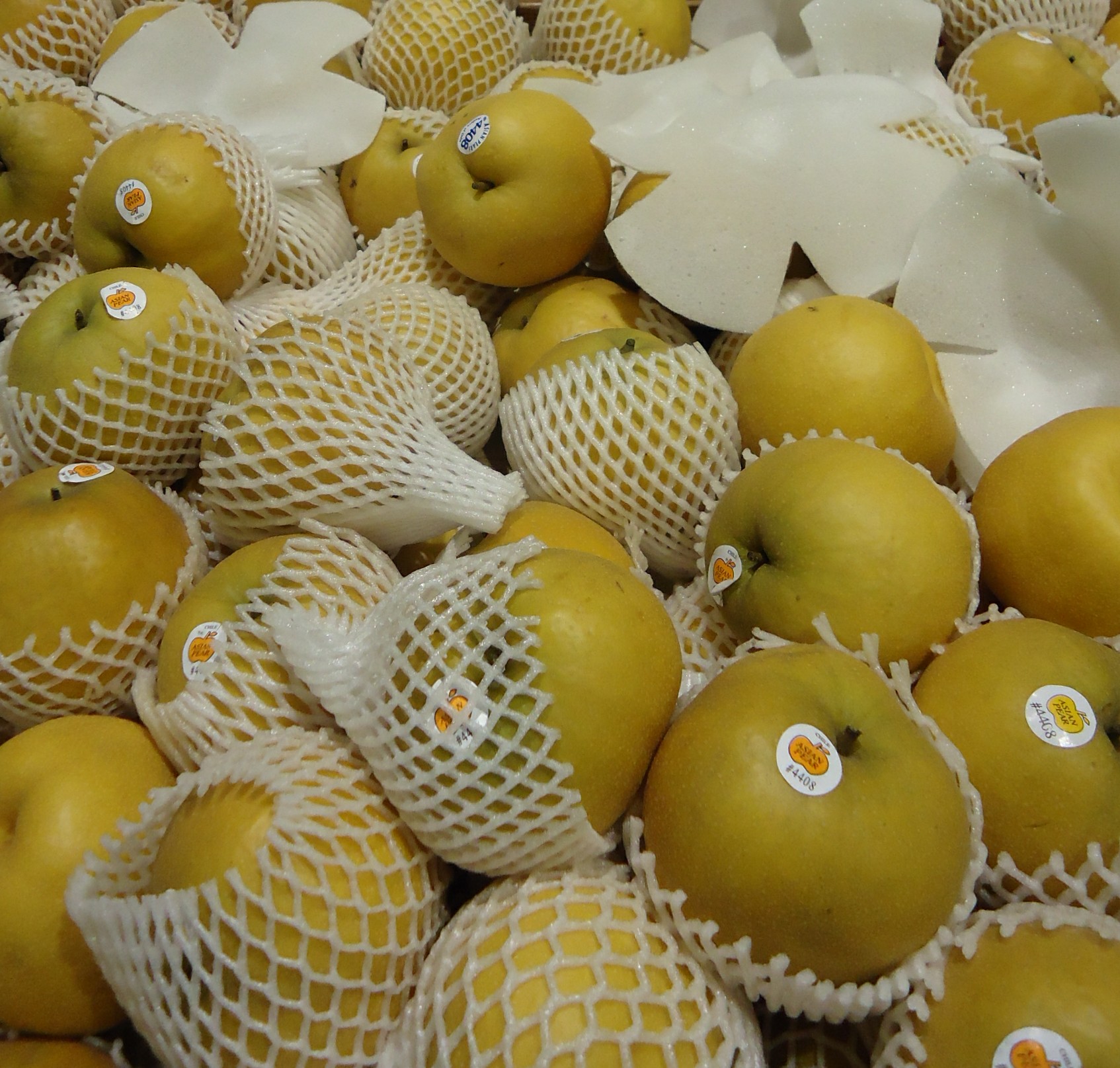 Detail Pear Image Nomer 41