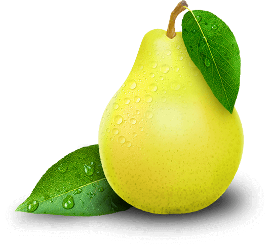 Detail Pear Image Nomer 47