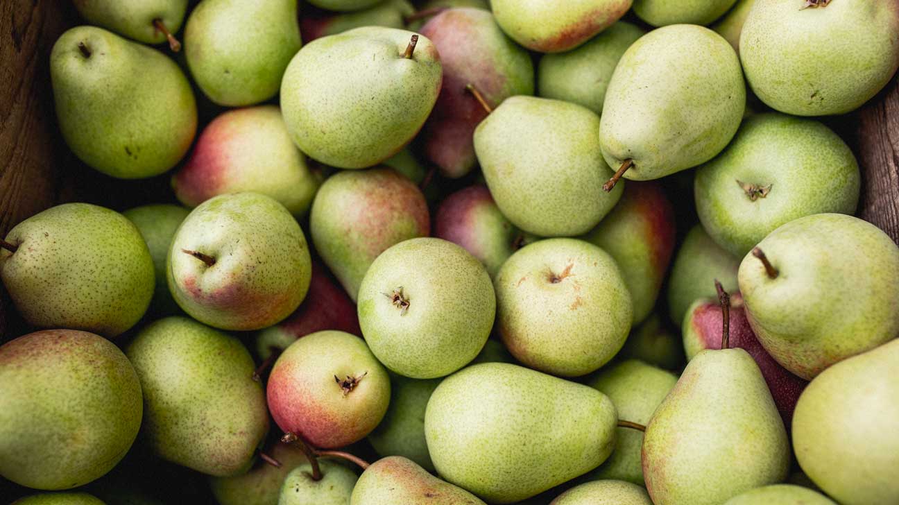 Detail Pear Image Nomer 50