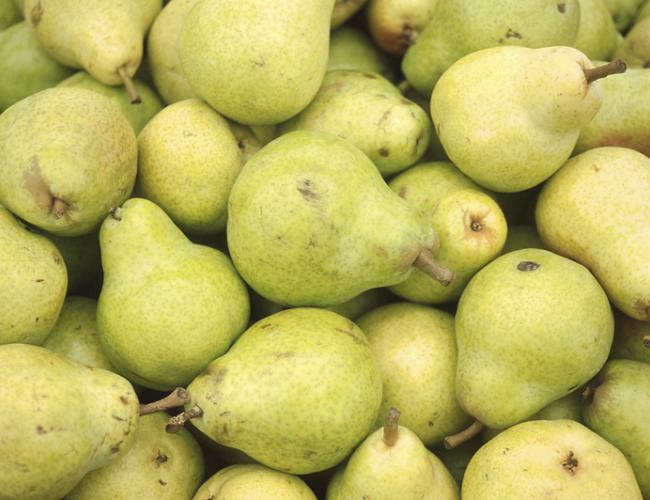 Detail Pear Image Nomer 51