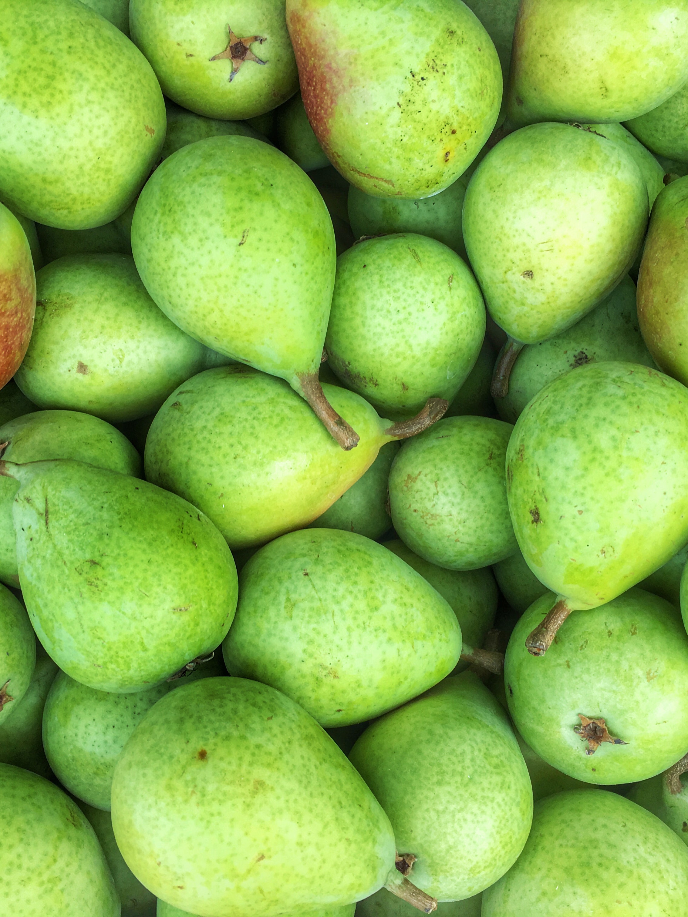 Detail Pear Image Nomer 54