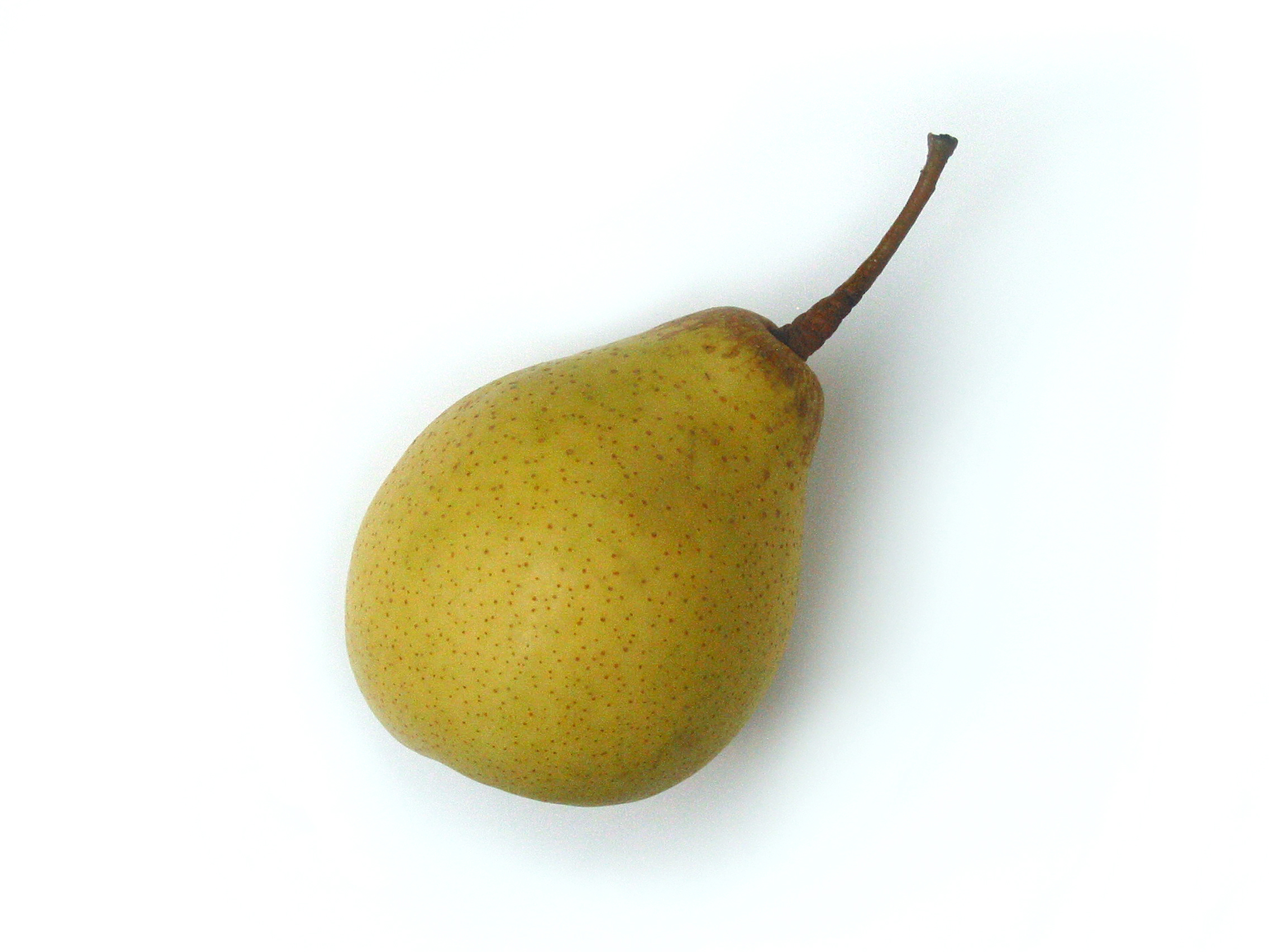 Detail Pear Images Free Nomer 6
