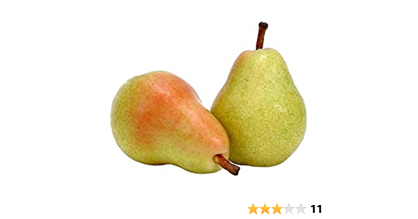 Detail Pear Images Fruit Nomer 17
