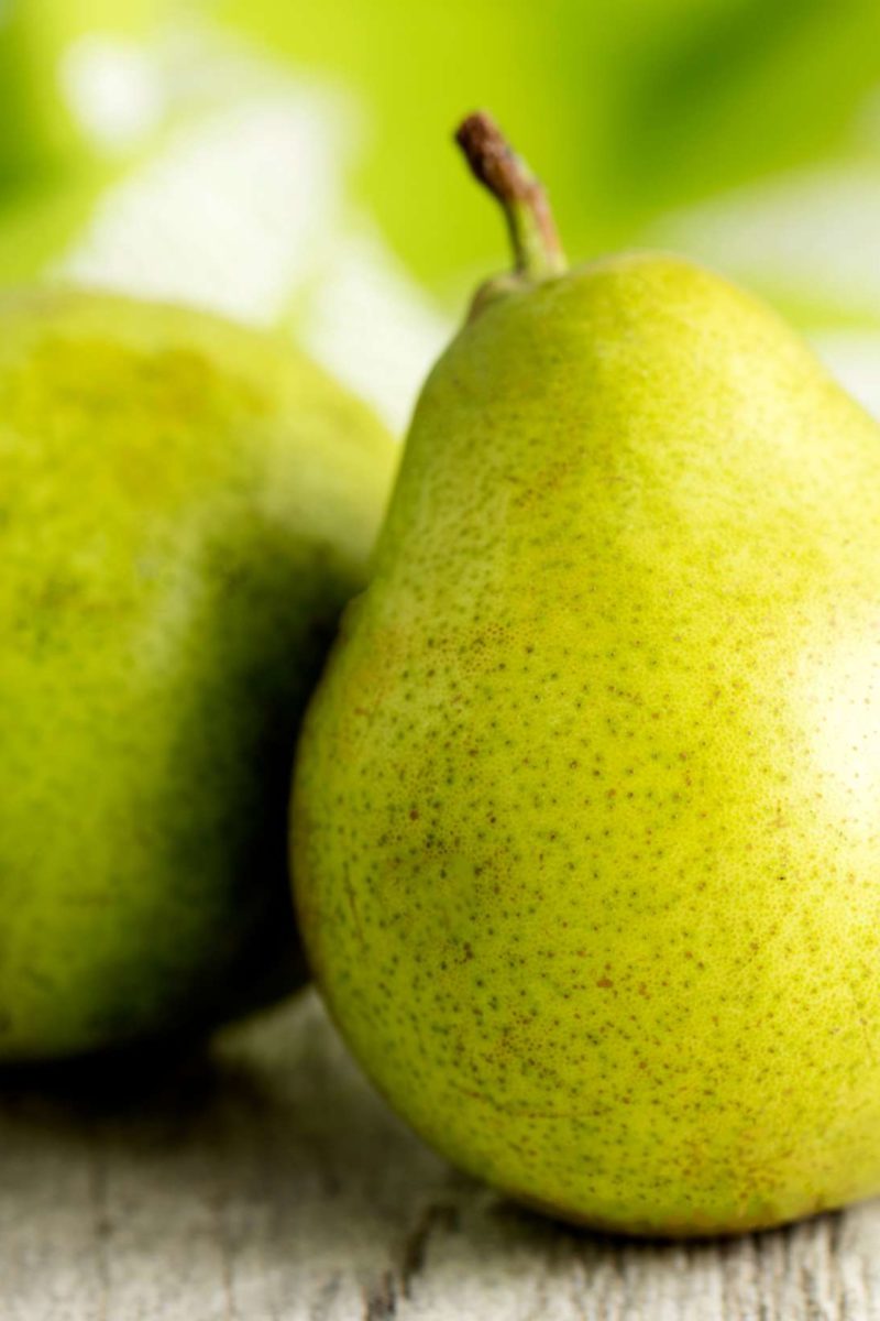 Detail Pear Images Fruit Nomer 24