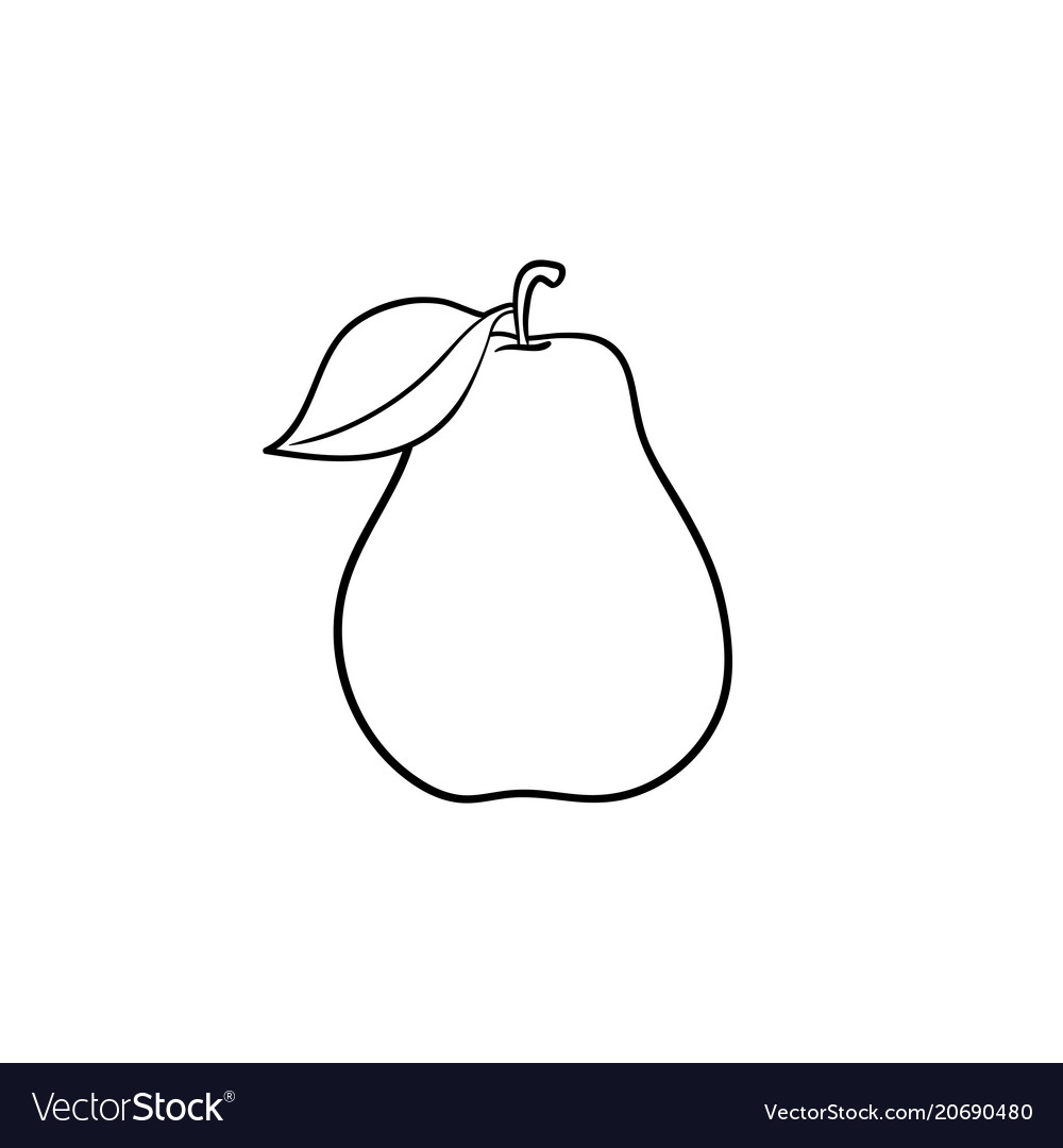 Detail Pear Images Fruit Nomer 32