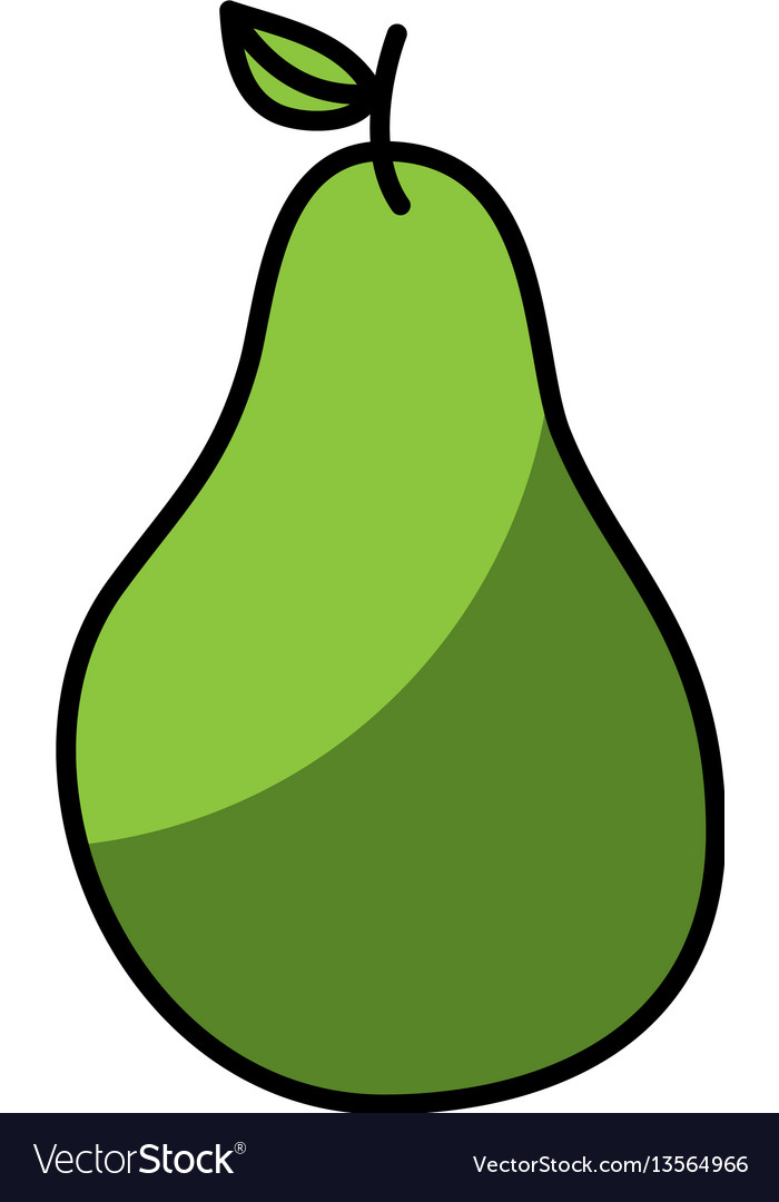 Detail Pear Images Fruit Nomer 40
