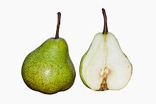 Detail Pear Images Fruit Nomer 47