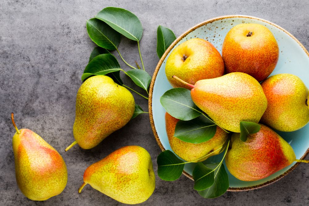 Detail Pear Images Fruit Nomer 50