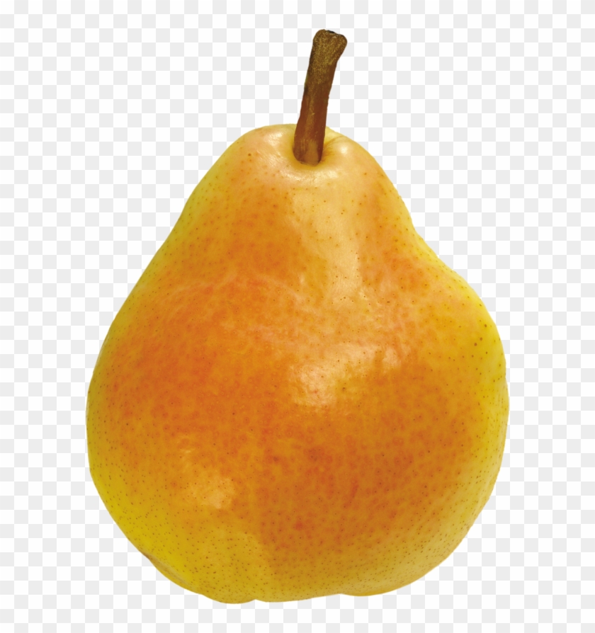 Detail Pear Transparent Nomer 25