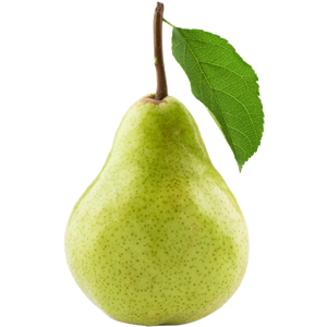 Detail Pear Transparent Nomer 5