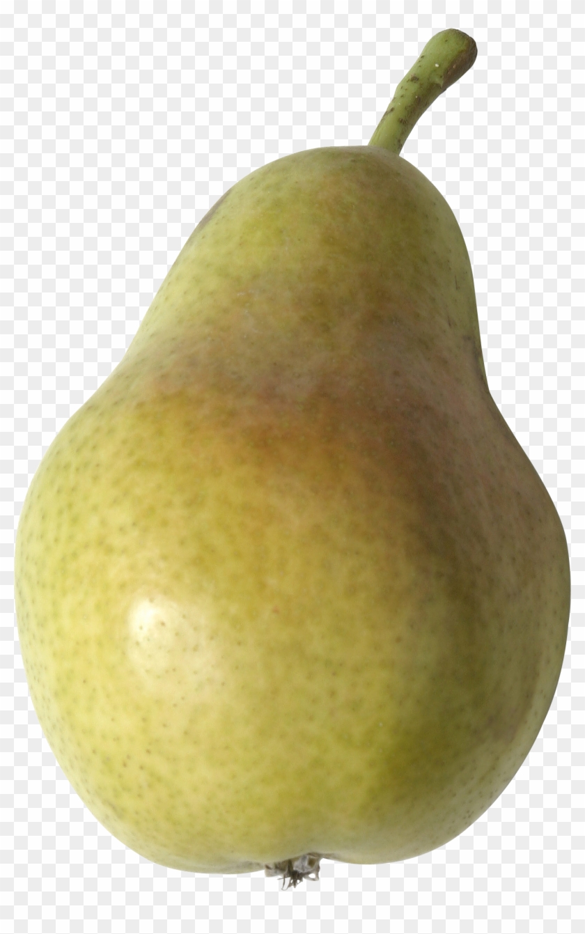 Detail Pear Transparent Background Nomer 13