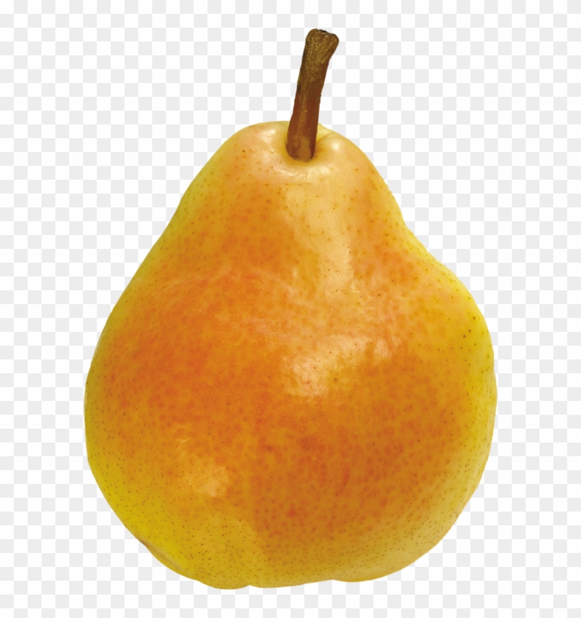 Detail Pear Transparent Background Nomer 15