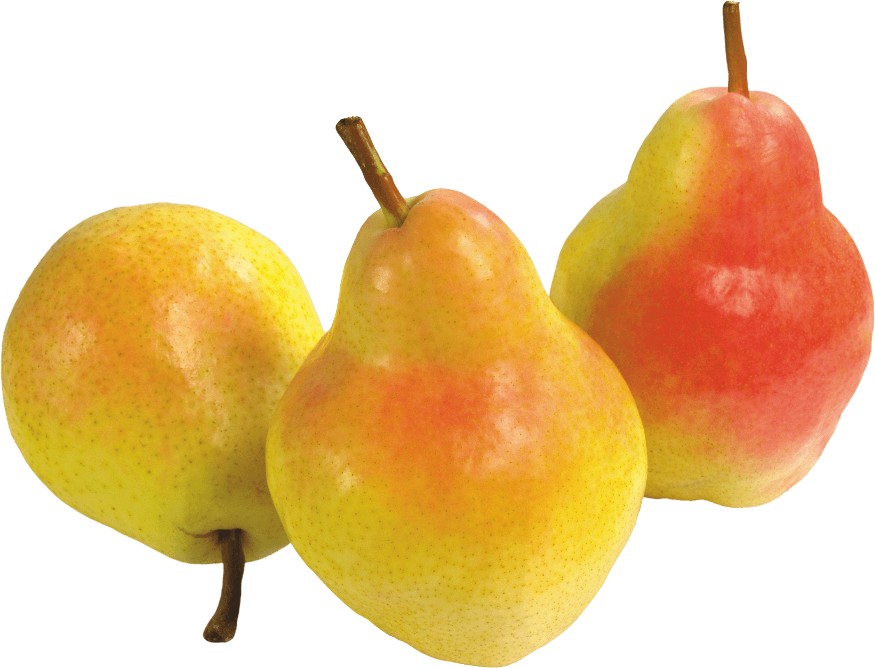 Detail Pear Transparent Background Nomer 22