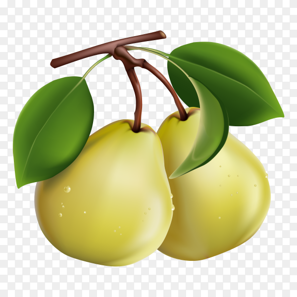 Detail Pear Transparent Background Nomer 24