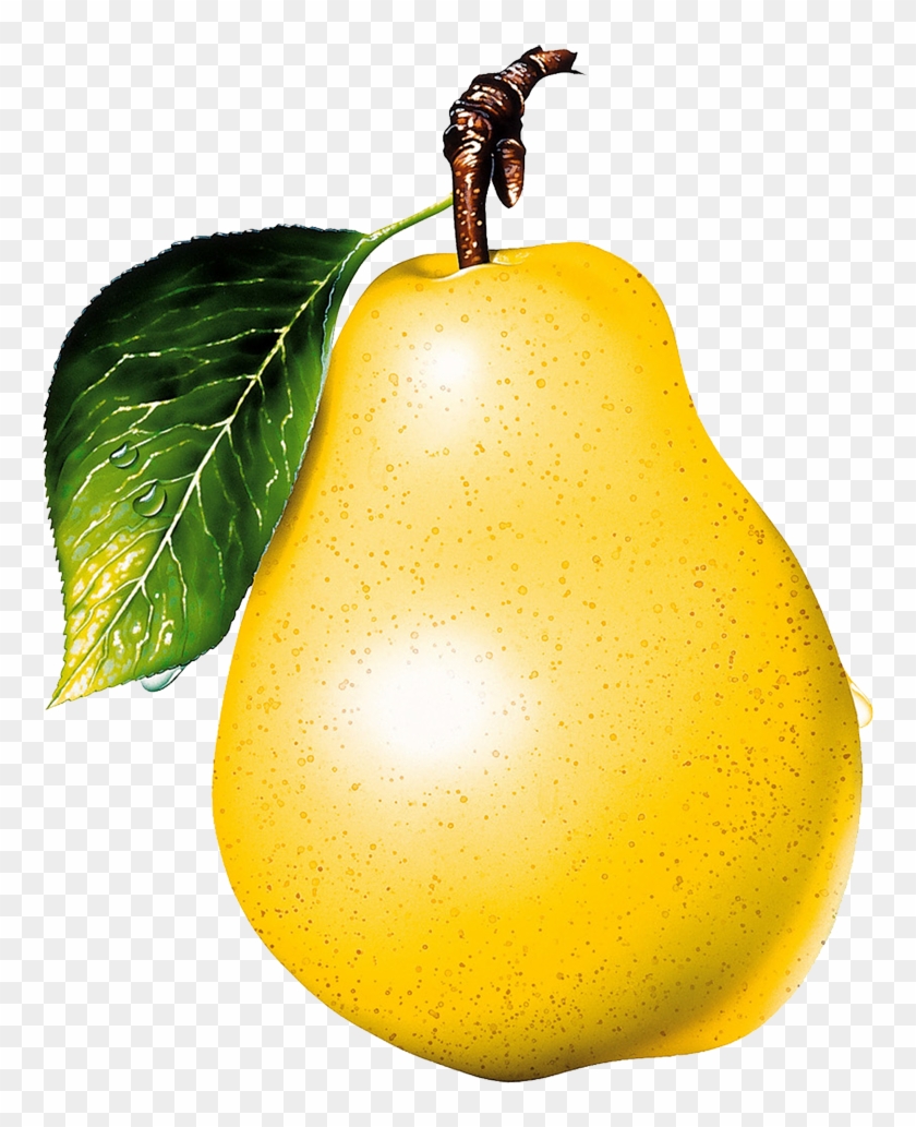 Detail Pear Transparent Background Nomer 25