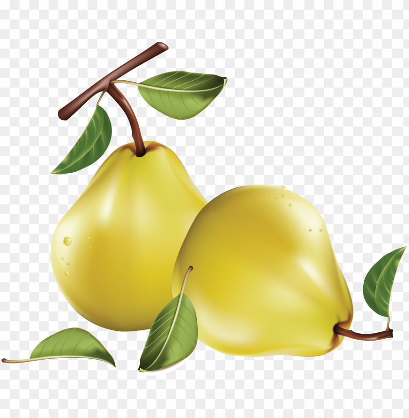 Detail Pear Transparent Background Nomer 26