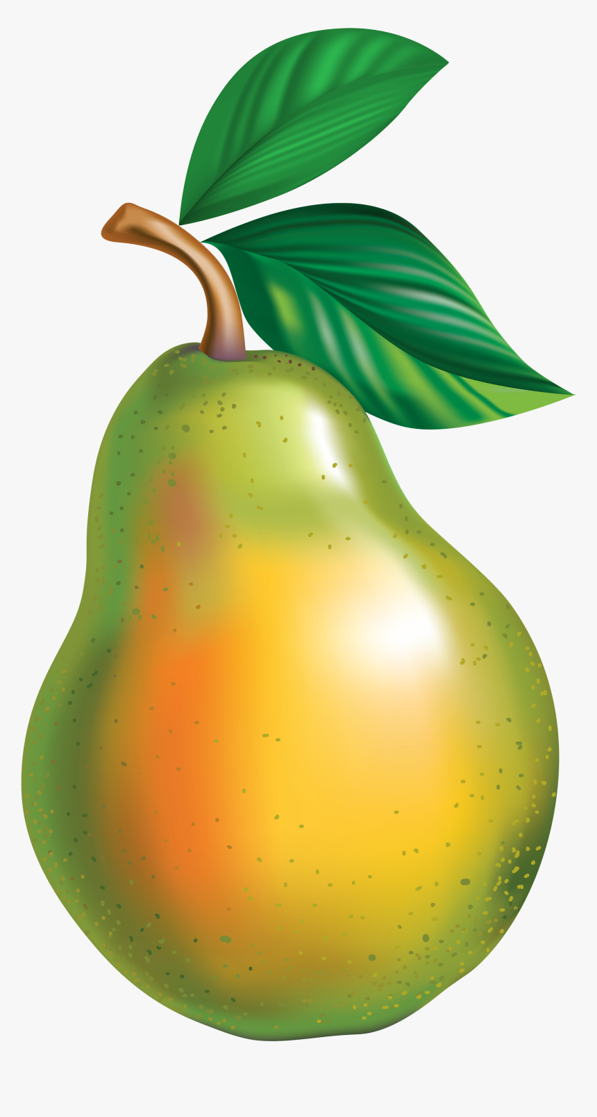 Detail Pear Transparent Background Nomer 33