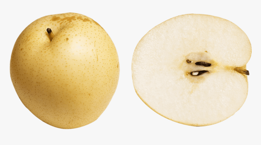 Detail Pear Transparent Background Nomer 43