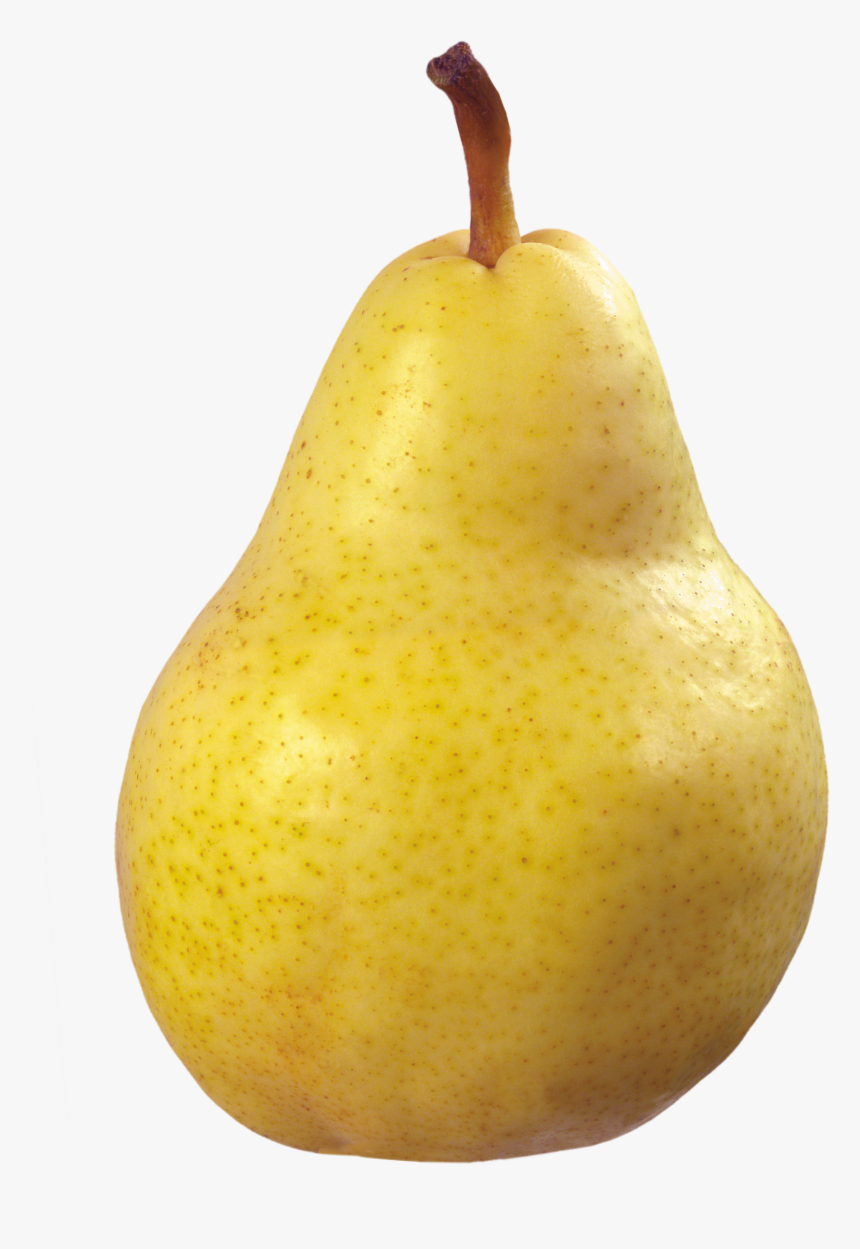 Detail Pear Transparent Background Nomer 5