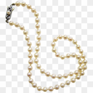 Detail Pearl Necklace Clipart Png Nomer 39