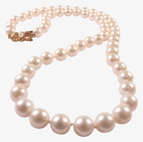 Detail Pearl Necklace Png Transparent Nomer 32