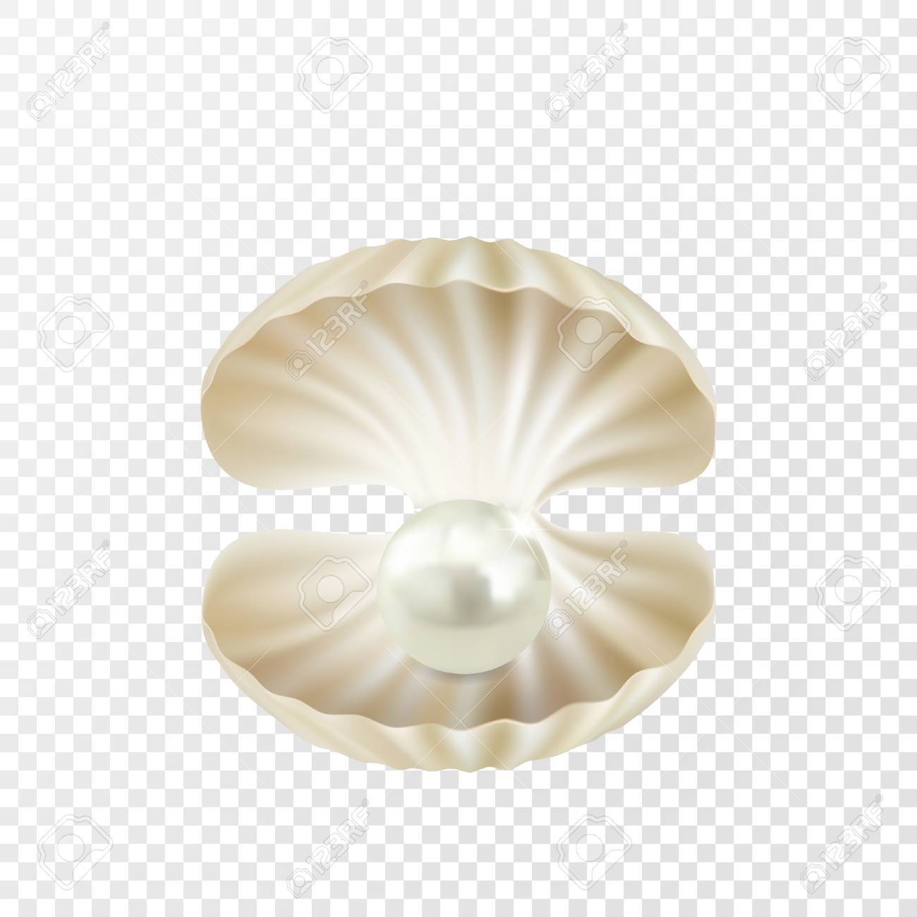 Detail Pearl Transparent Background Nomer 41