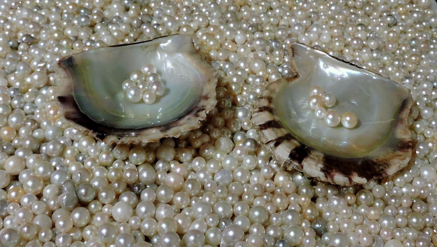 Detail Pearls Images Nomer 11