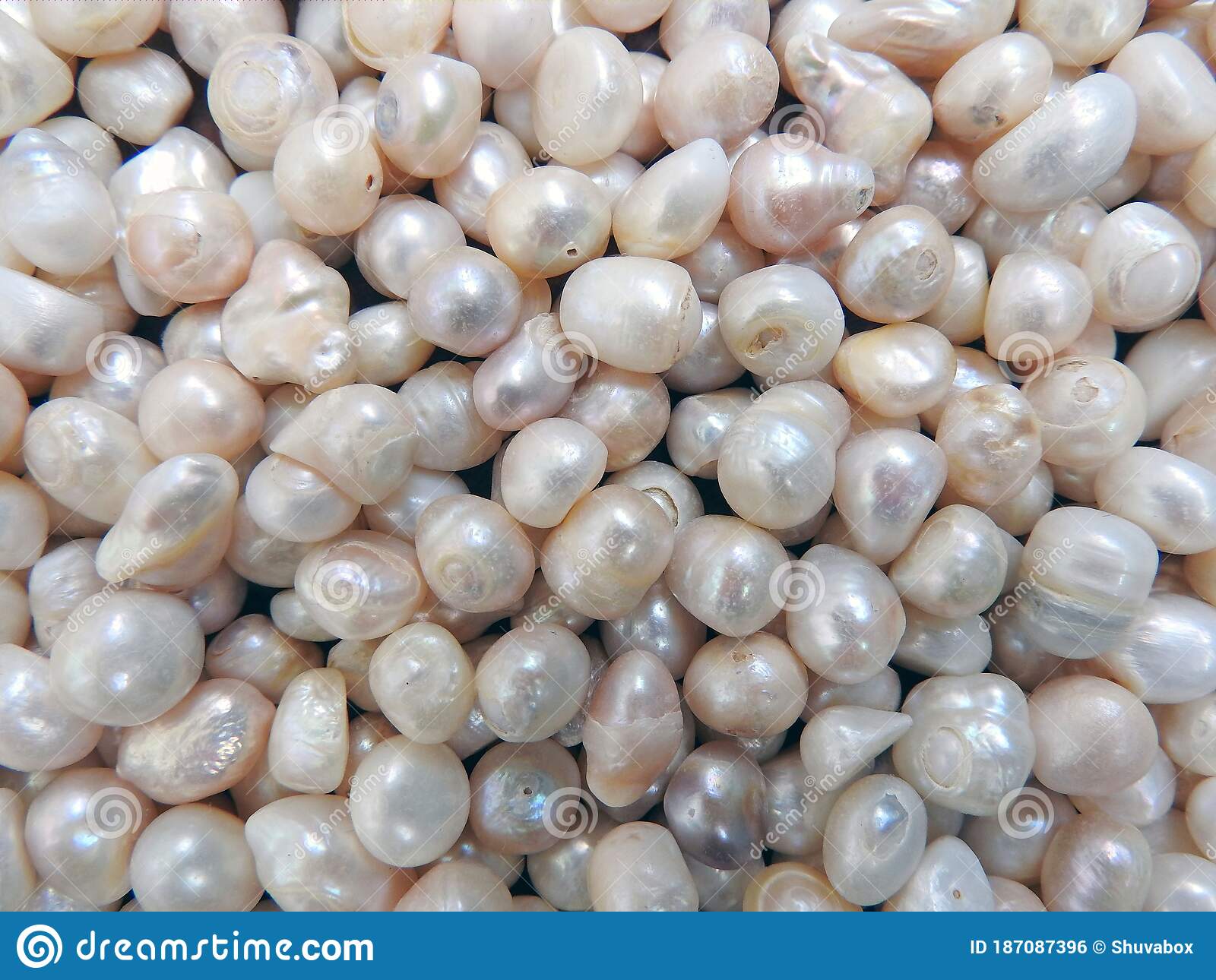 Detail Pearls Images Nomer 41