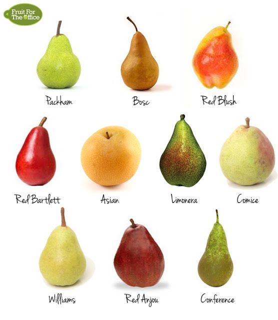 Detail Pears Fruit Image Nomer 3