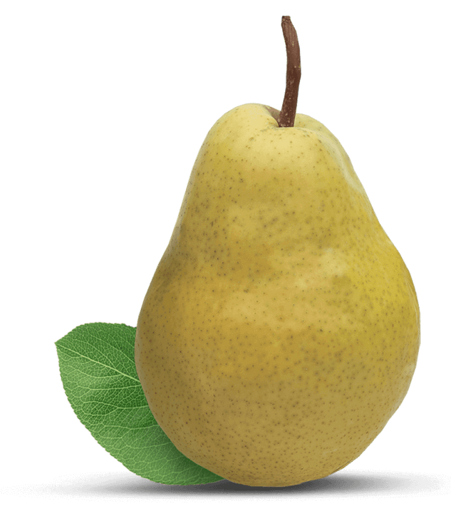 Detail Pears Fruit Image Nomer 32