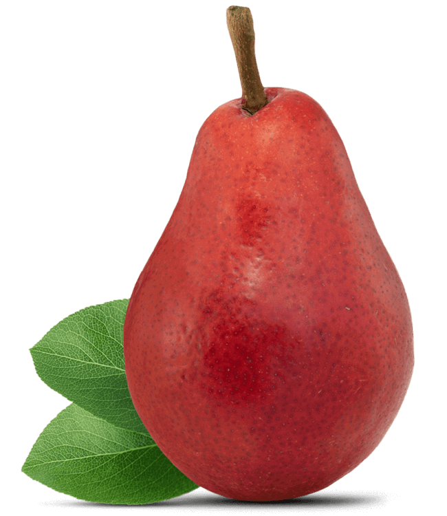 Detail Pears Fruit Image Nomer 44