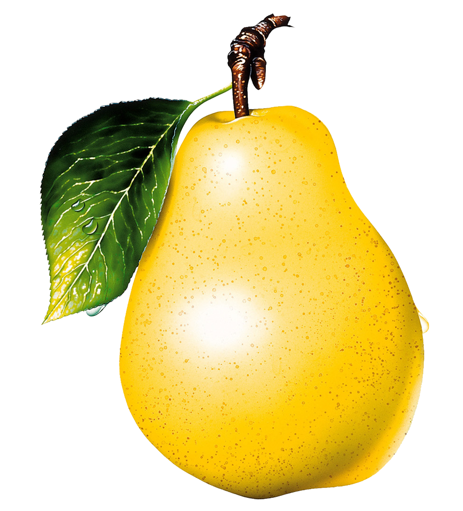 Detail Pears Png Nomer 39