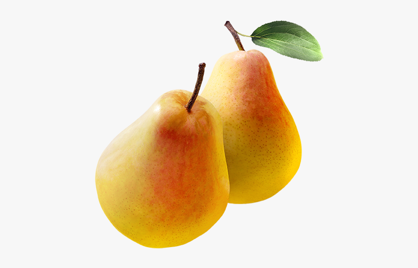 Detail Pears Png Nomer 43