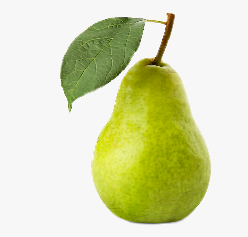 Detail Pears Png Nomer 9