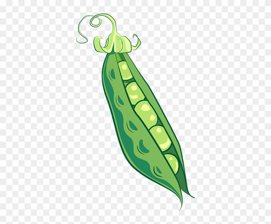 Detail Peas Clipart Nomer 11