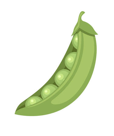 Detail Peas Clipart Nomer 14