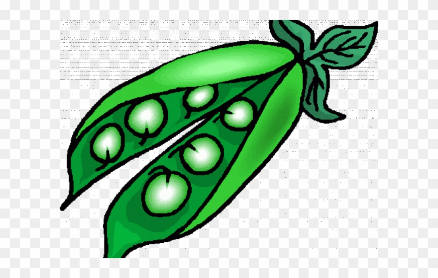 Detail Peas Clipart Nomer 17