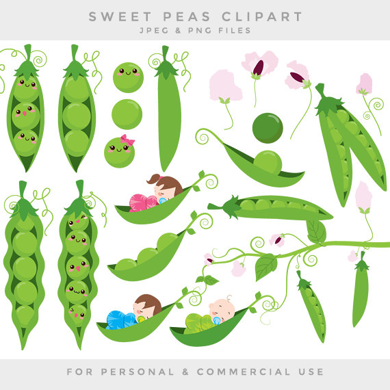 Detail Peas Clipart Nomer 26