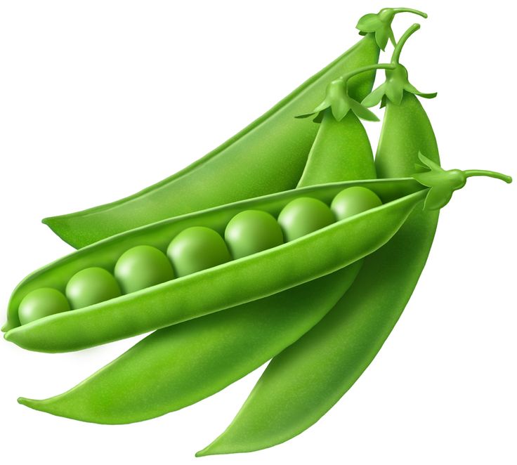 Detail Peas Clipart Nomer 33