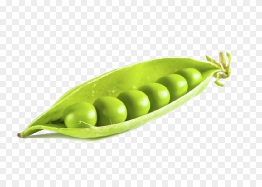 Detail Peas Png Nomer 22