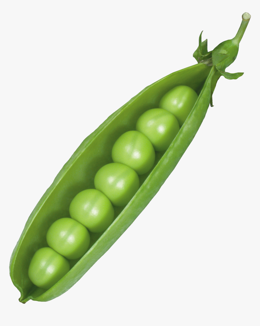 Detail Peas Transparent Nomer 2