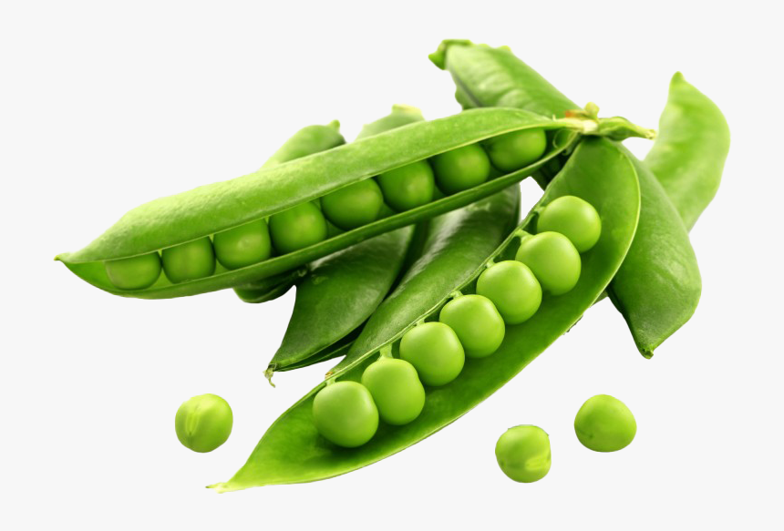 Detail Peas Transparent Nomer 3