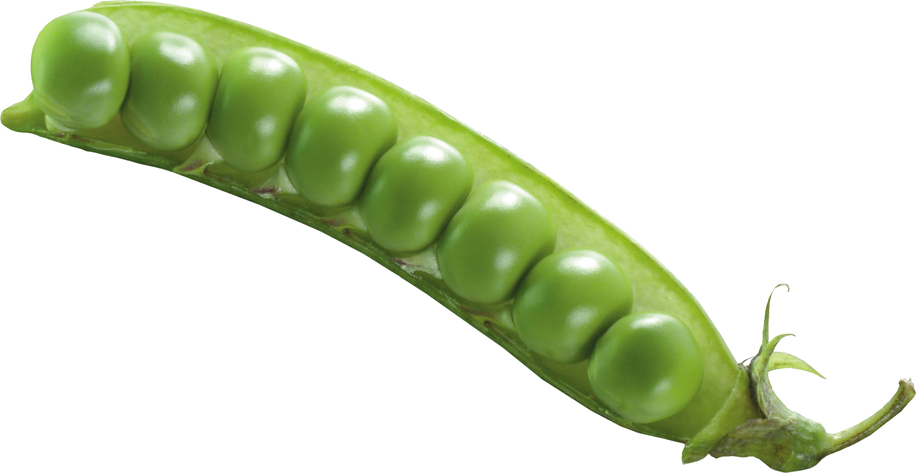 Detail Peas Transparent Nomer 22