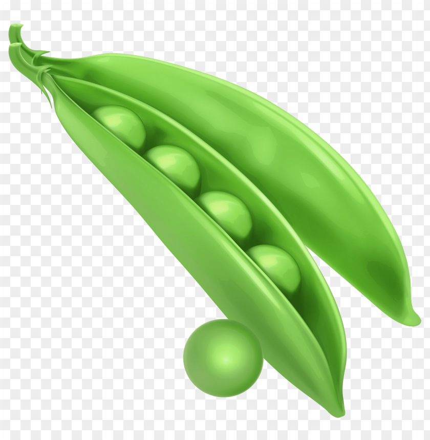 Detail Peas Transparent Nomer 28