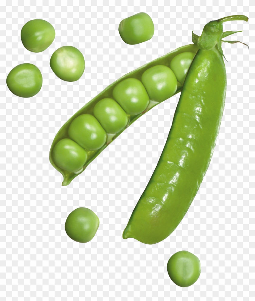Detail Peas Transparent Nomer 4