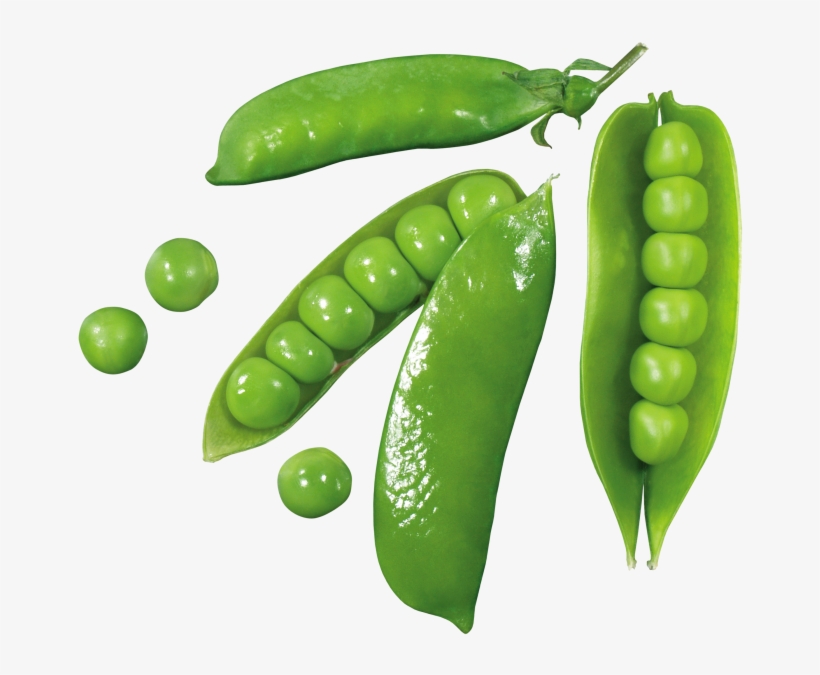 Detail Peas Transparent Nomer 32