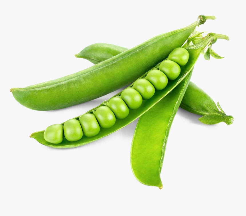 Detail Peas Transparent Nomer 5
