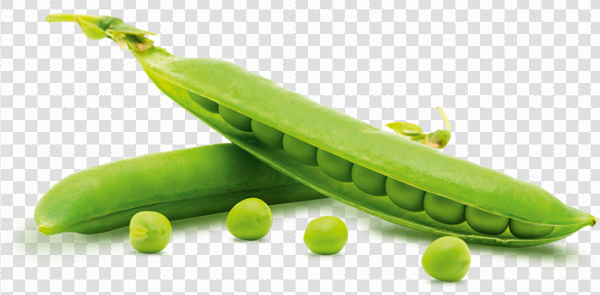 Detail Peas Transparent Nomer 44
