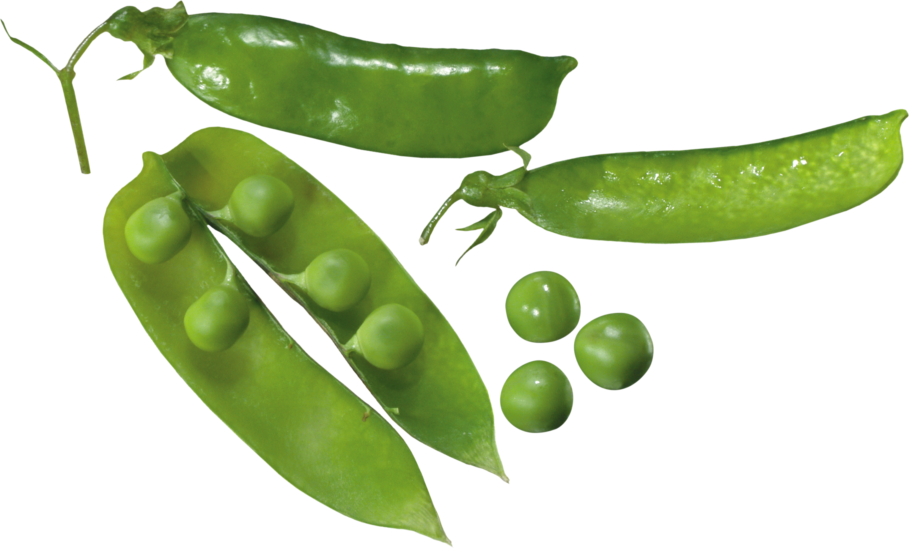 Detail Peas Transparent Nomer 46